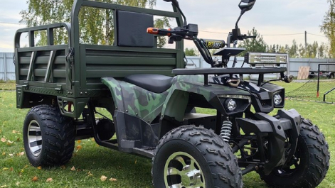 Квадроцикл с багажником? Помощник на даче или дорогая игрушка? А что, если он ещё и электрический?